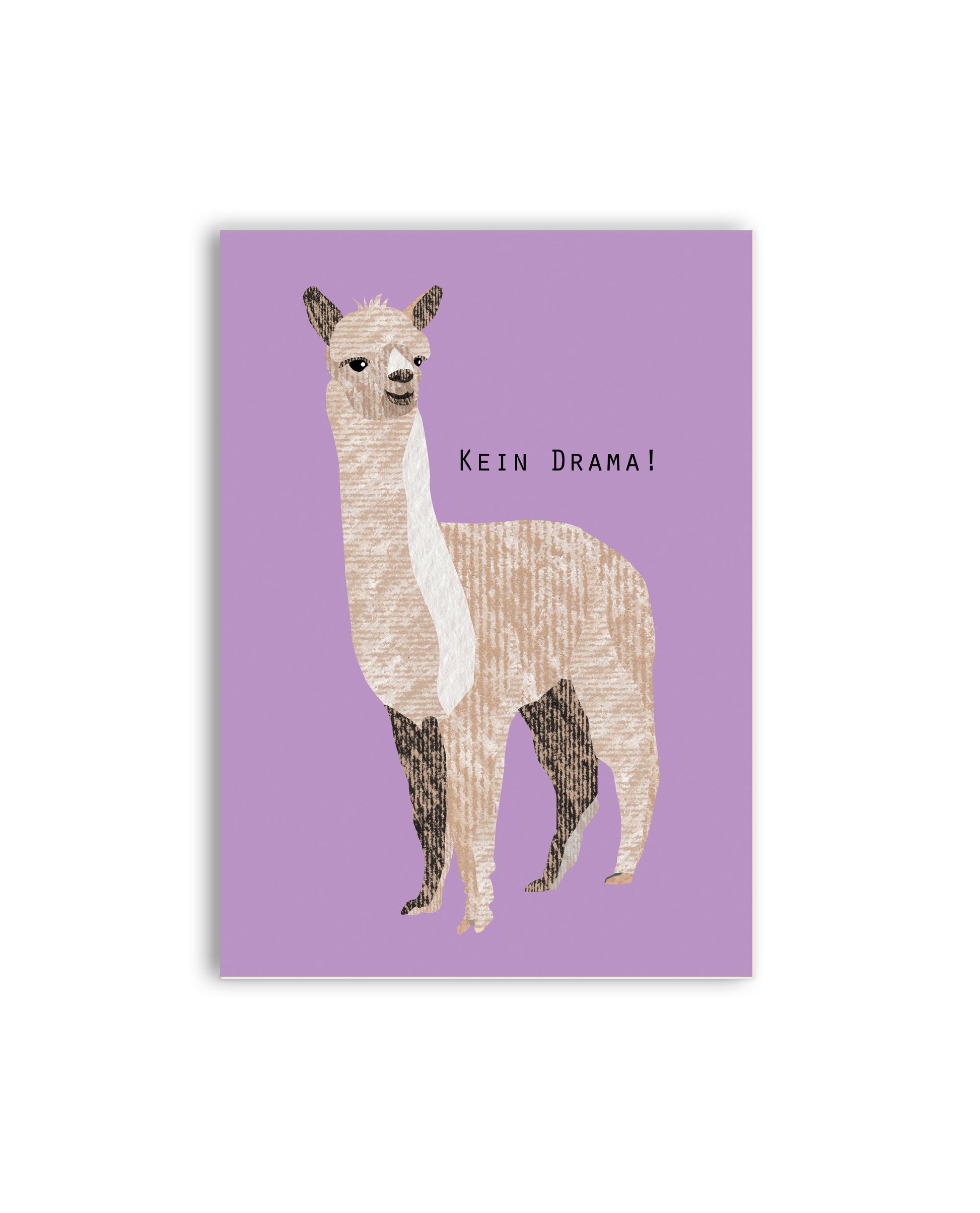 Lama „Kein Drama!“