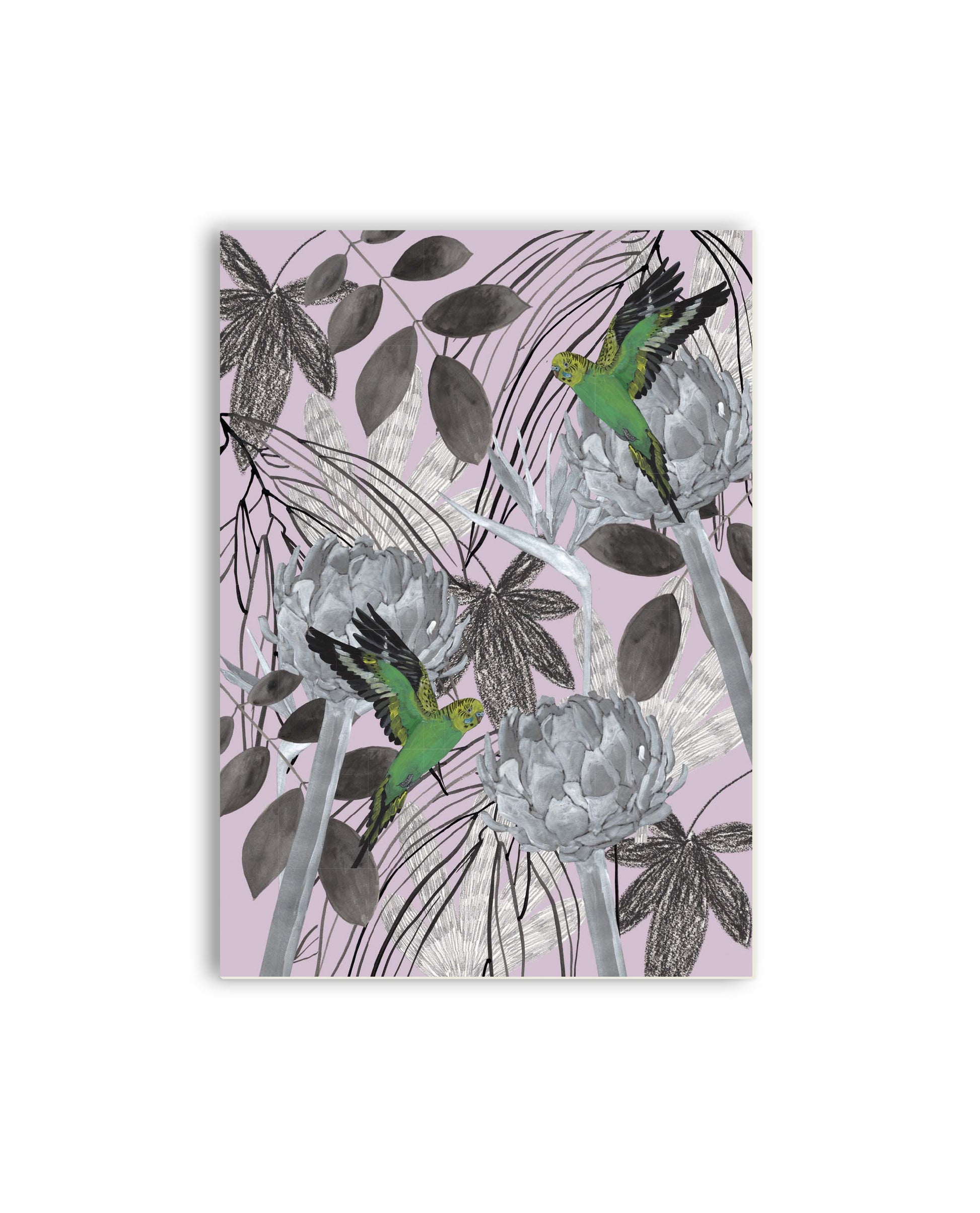 Wellensittiche & Blüten