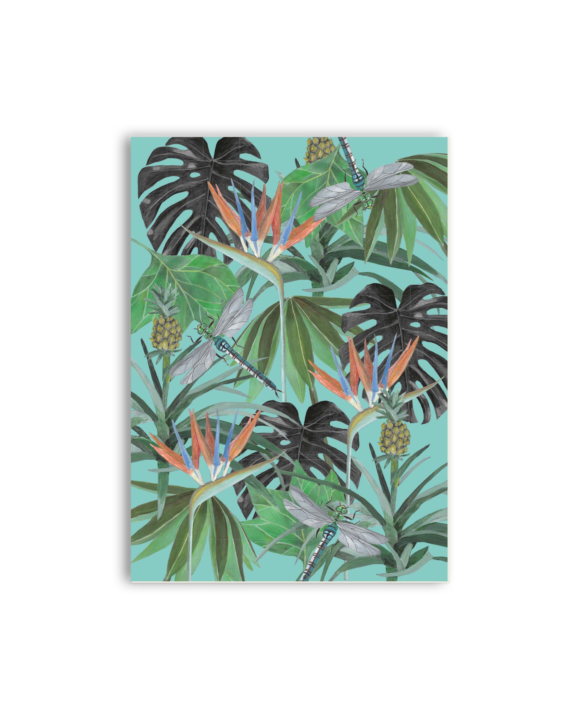 Libellen & Paradiesvogelblumen