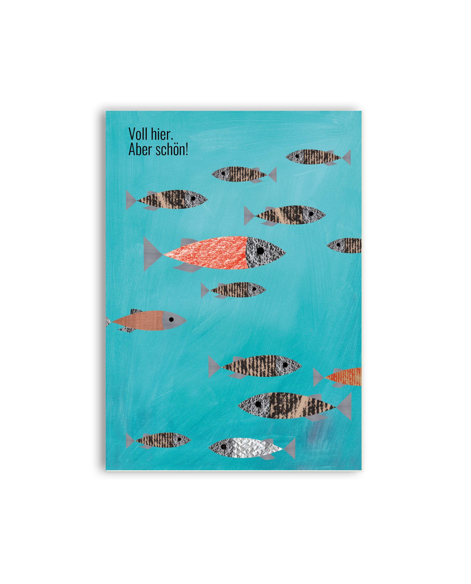 Fische „Voll hier. Aber schön!“