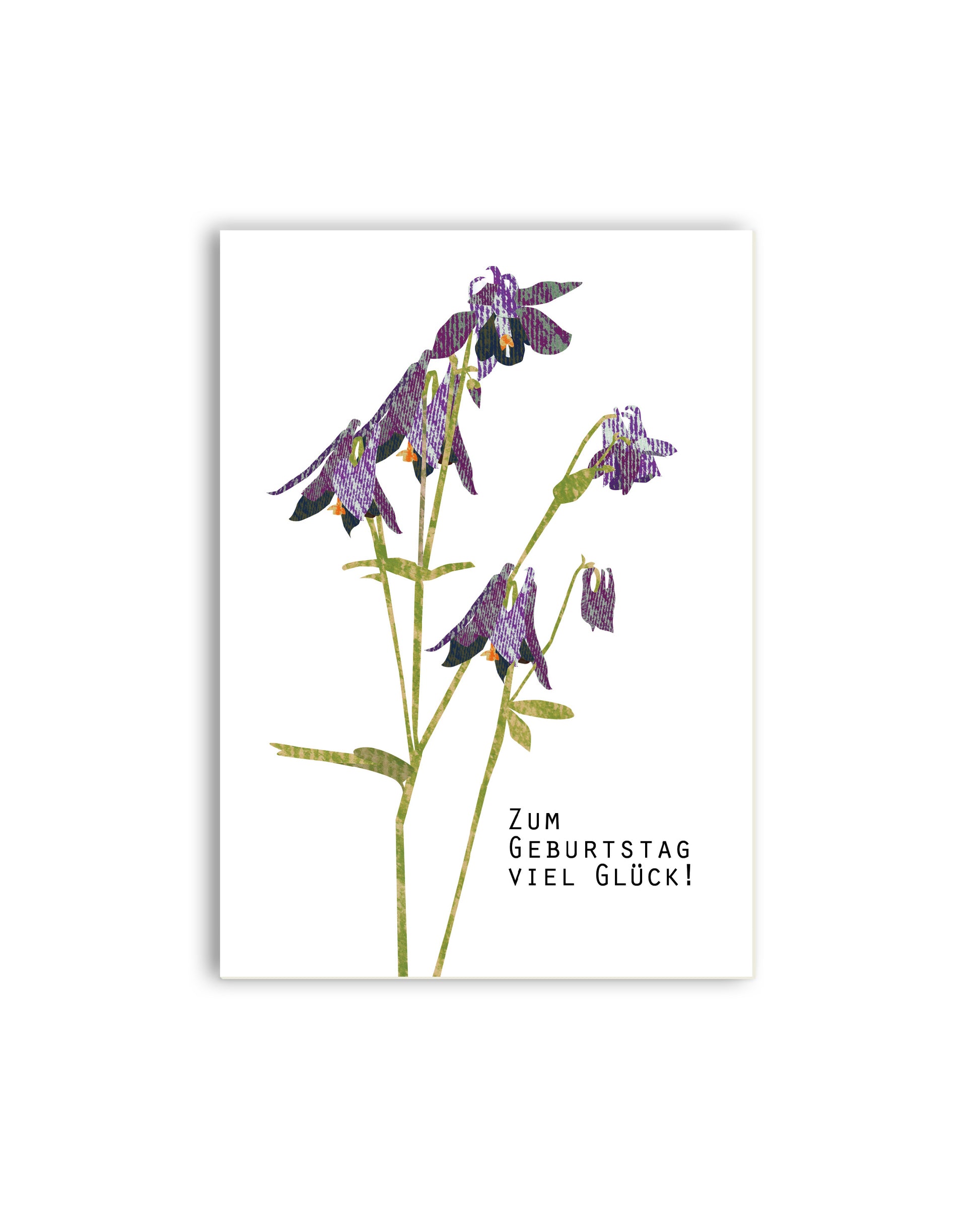 Akelei „Zum Geburtstag viel Glück“