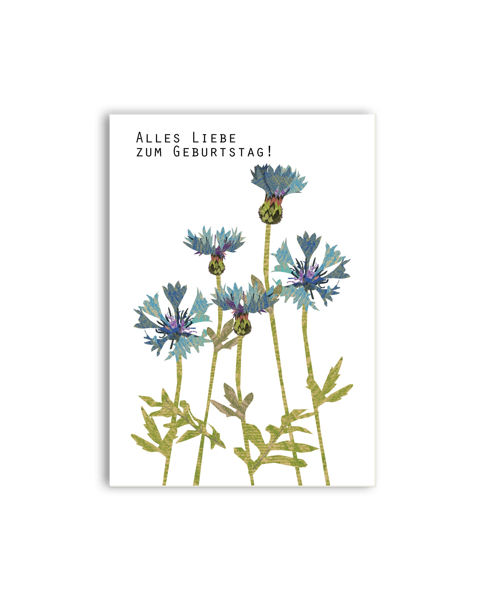 Kornblumen „Alles Liebe zum Geburtstag“