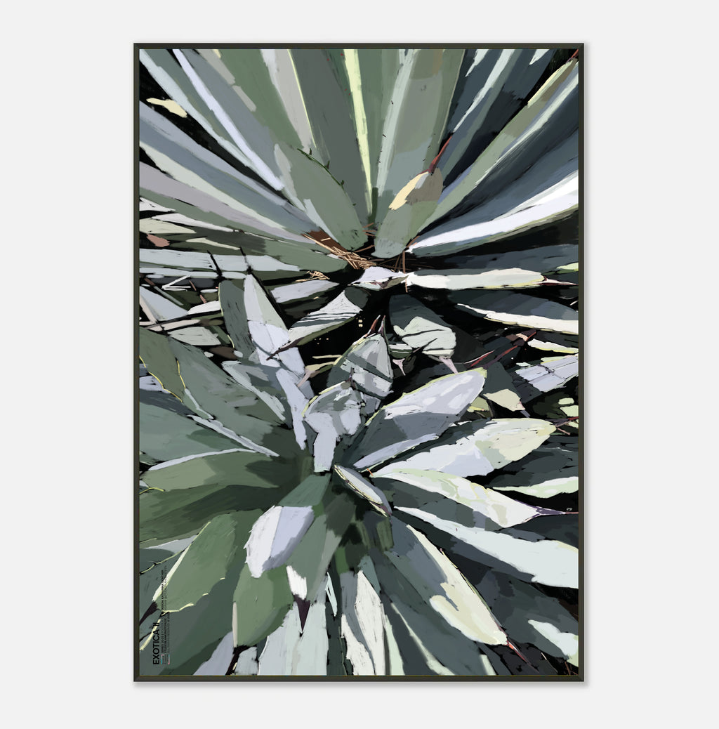 EXOTICA II - Poster im Metallrahmen